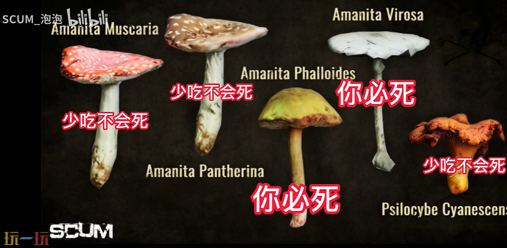 人渣SCUM蘑菇怎么获取 蘑菇种类辨别方法介绍​