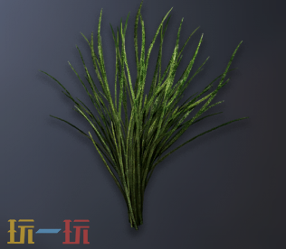 明末渊虚之羽灯芯草有什么用 灯芯草用途介绍​