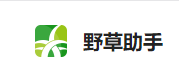 野草助手官网入口是什么 官网入口分享