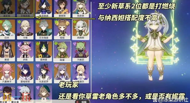 原神纳西妲复刻值得抽吗 纳西妲复刻抽取建议