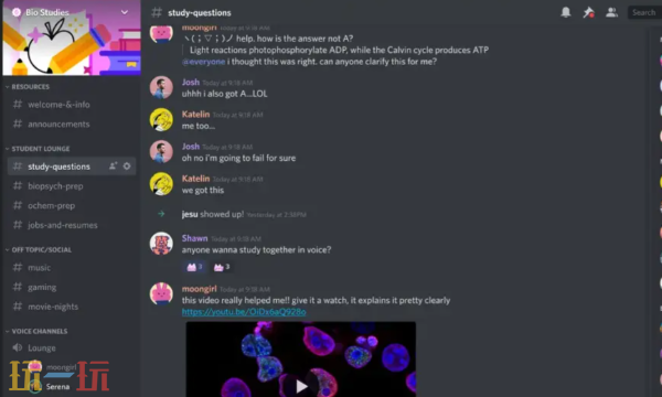 Discord官方网站入口 Discord游戏玩家社交平台