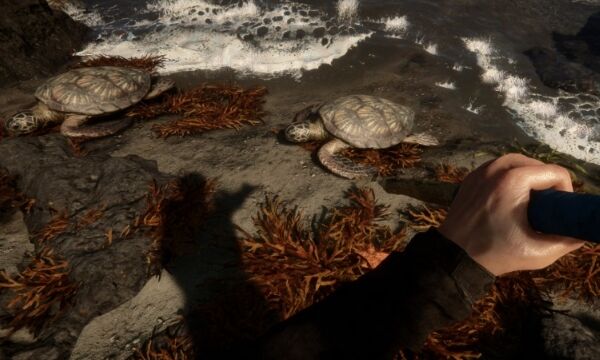 森林之子mod有哪些 森林之子mod整合包資源大全