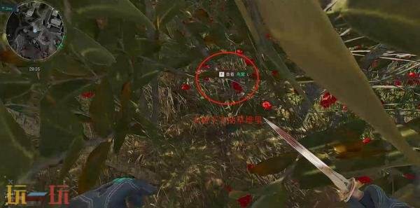 三角洲行动零号大坝鸟窝在哪 零号大坝鸟窝位置高清图片