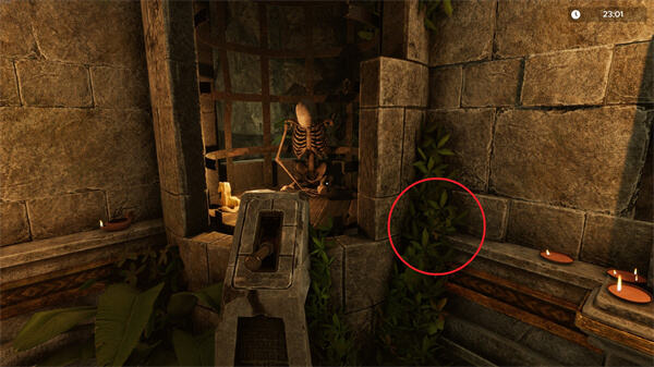 如何收集密室逃脱模拟器2被诅咒的宝藏藏身处全代币 密室逃脱模拟器2被诅咒的宝藏藏身处全代币收集