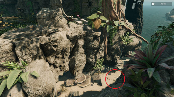 如何收集密室逃脱模拟器2被诅咒的宝藏岛屿全代币 密室逃脱模拟器2被诅咒的宝藏岛屿全代币收集