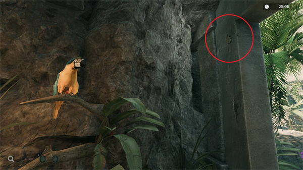 如何收集密室逃脱模拟器2被诅咒的宝藏岛屿全代币 密室逃脱模拟器2被诅咒的宝藏岛屿全代币收集