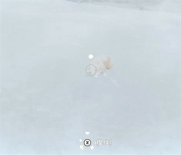 如何解锁我的小柯基全部成就 我的小柯基全部成就解锁攻略分享