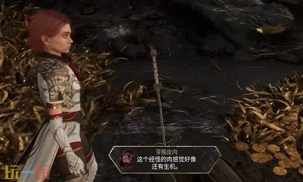 光与影33号远征队芽簇任务攻略:小芽簇支线任务全流程详解