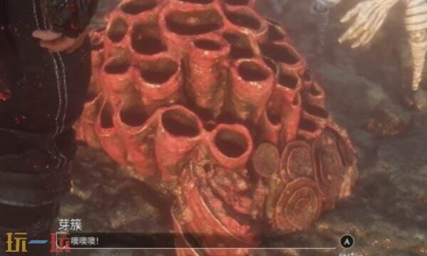 光与影33号远征队芽簇任务攻略:小芽簇支线任务全流程详解