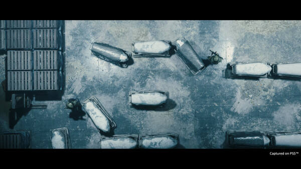 死亡搁浅:导演剪辑版