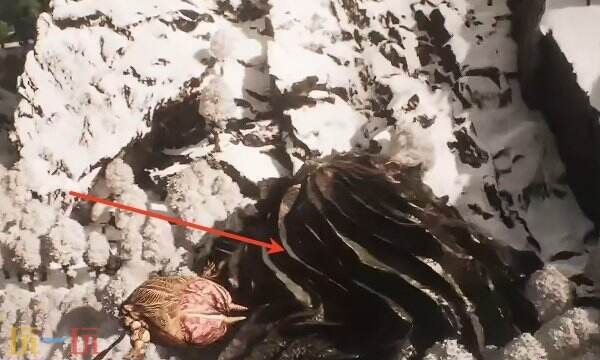 光与影33号远征队如何破除障碍：破除障碍技能获取方式