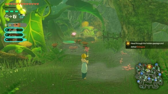 塞尔达无双封印战记浓雾之中怎么过 浓雾之中全流程图文攻略