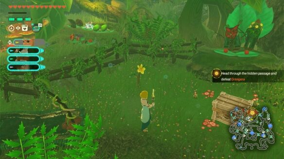 塞尔达无双封印战记浓雾之中怎么过 浓雾之中全流程图文攻略