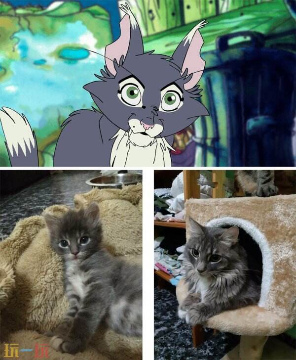 【游·见】专访Valhalla Cats:在废城画卷中,绘出一段爪间的温暖史诗