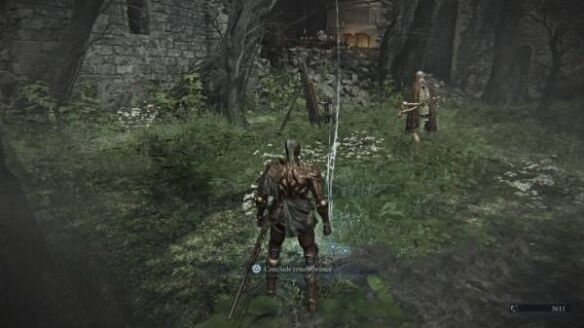 艾尔登法环黑夜君临受赐福的花 执行者专属受赐福的花获取攻略