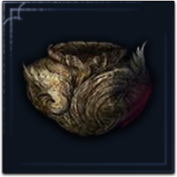 艾尔登法环黑夜君临执行者器皿 执行者专属供具如何获得