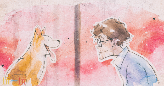 我的小柯基游戲截圖