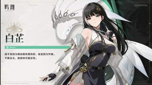 鳴潮白芷最佳陣容搭配