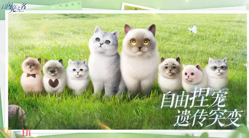 以闪亮之名游戏截图