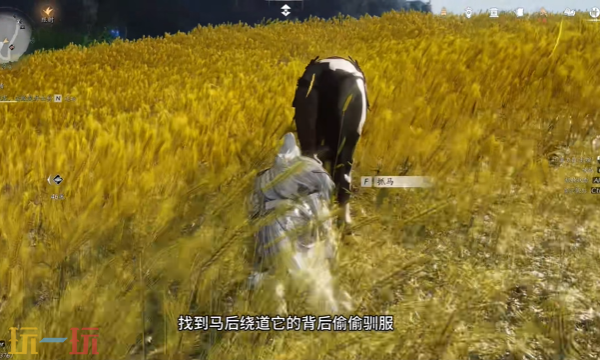 燕云十六声周年庆新增坐骑怎么获得 周年庆新增坐骑琳琅雪获取方法