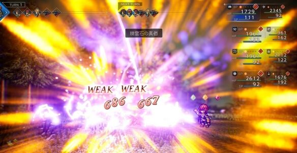 歧路旅人0赛鲁克图鉴 歧路旅人0赛鲁克人物介绍