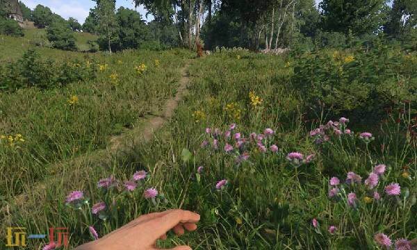 天国拯救2第一人称采药优化mod 天国拯救2第一人称采药优化mod一键使用