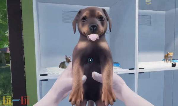 《异域风情2：宠物店模拟器》发售宣传视频，现已公布!