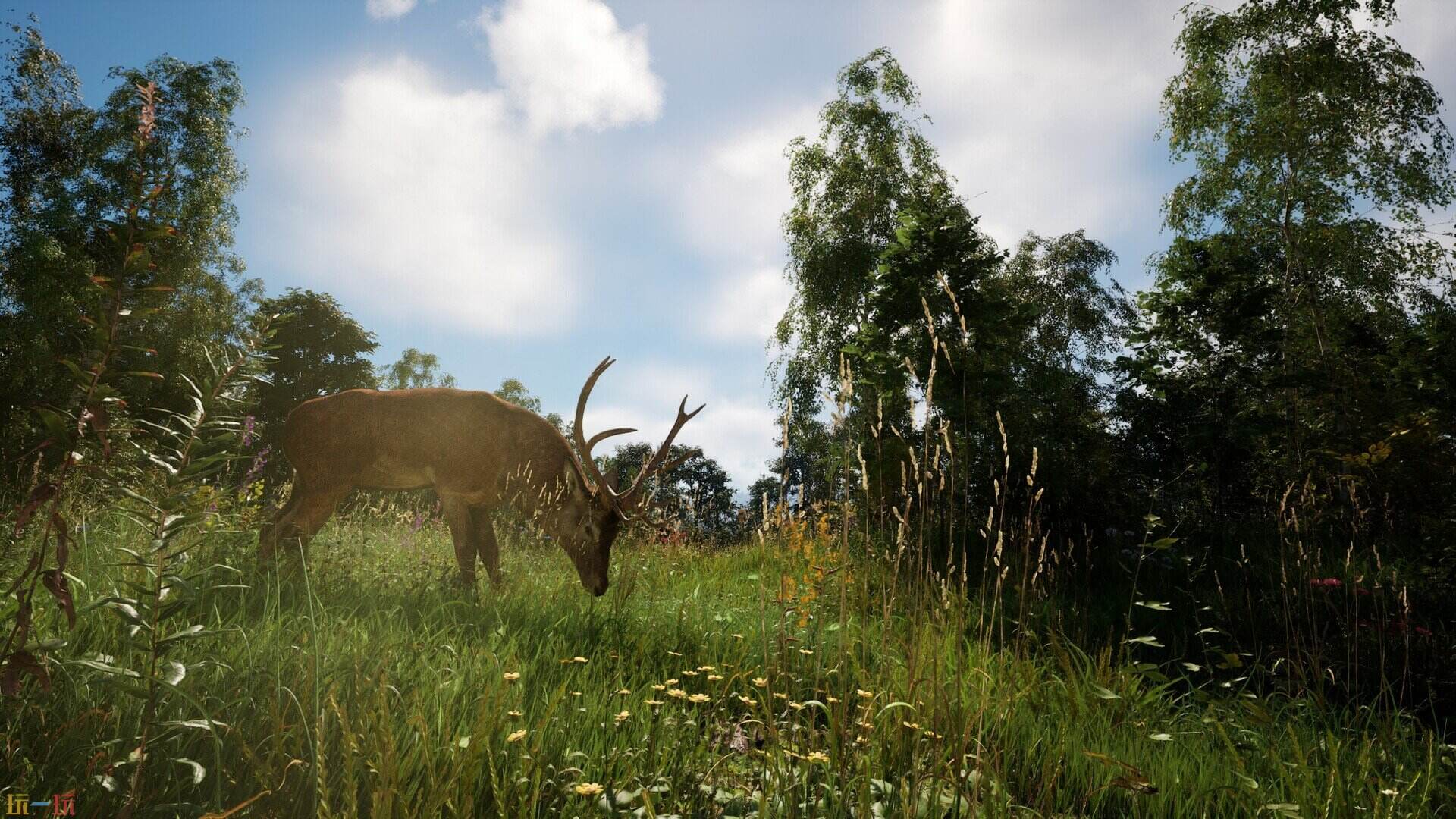 恐惧地带游戏截图