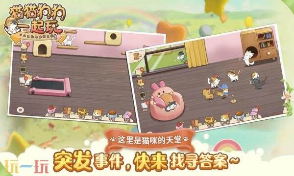 猫猫狗狗一起玩礼包兑换码有什么 猫猫狗狗一起玩2026最新礼包码