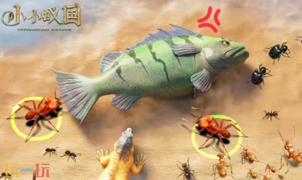 小小蚁国官网首页入口在哪里 小小蚁国官网首页入口地址