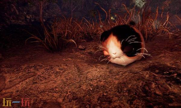 仁王3撒沙婆婆妖怪介绍 仁王3撒沙婆婆妖怪图鉴