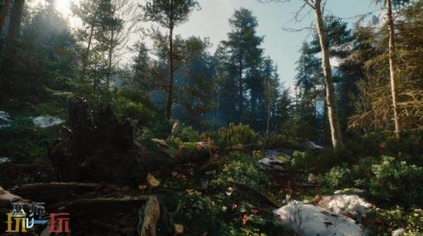 CDPR确认出席今年6月虚幻引擎节！将带来《巫师4》新展示