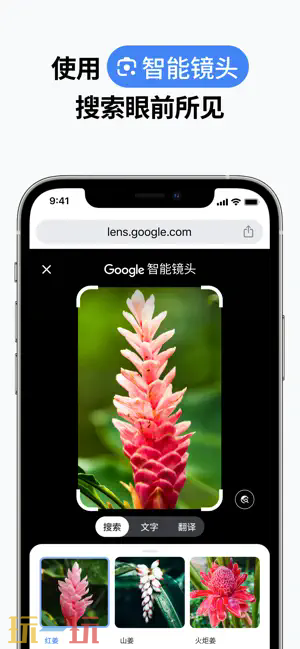 谷歌浏览器应用截图