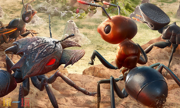 小小蚁国本周兑换码 小小蚁国最新礼包码2026