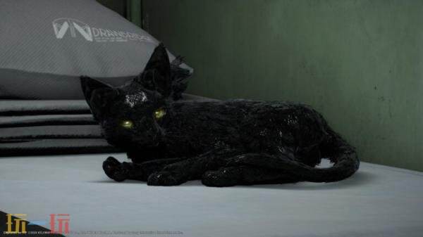 《死亡搁浅2：冥滩之上》PC版将于3月19日发售