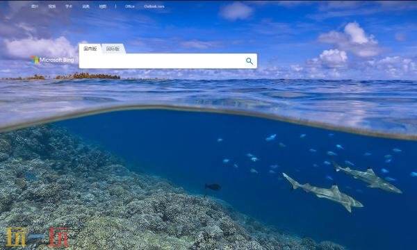 必应国际版搜索引擎入口 bing必应国际版搜索入口