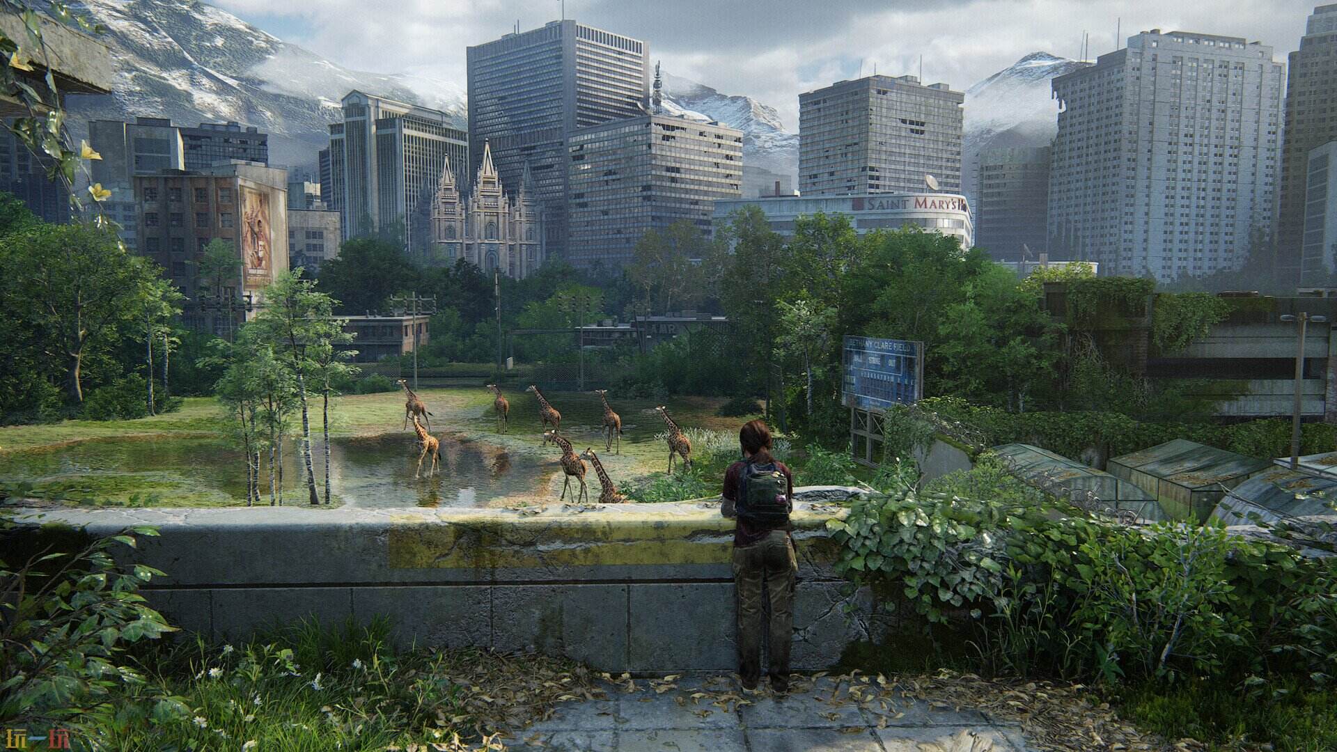 最后生还者游戏截图