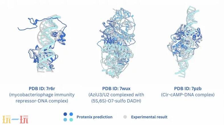 Protenix github地址 Protenix github开源