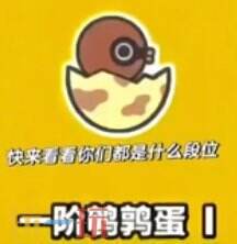 蛋仔派对段位等级顺序 蛋仔派对的段位是怎么排序的