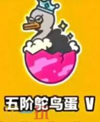 蛋仔派对段位等级顺序 蛋仔派对的段位是怎么排序的