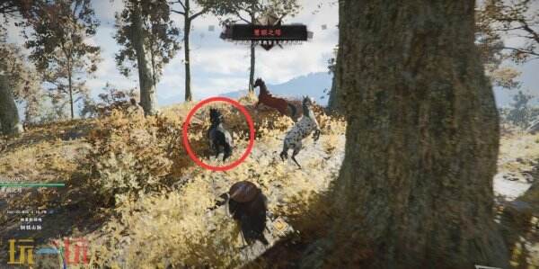 红色沙漠传说马位置 传说马在哪