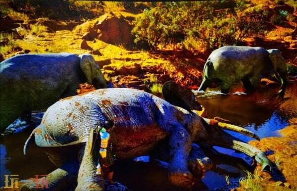 红色沙漠强化材料象牙刷取位置分享 象牙在哪刷