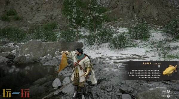 红色沙漠黄金鲤鱼钓取位置及价值 黄金鲤鱼在哪钓