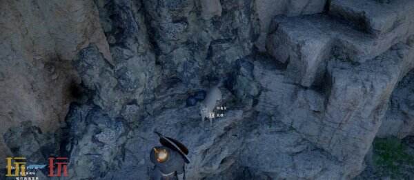 红色沙漠宠物获取教程 宠物怎么获得