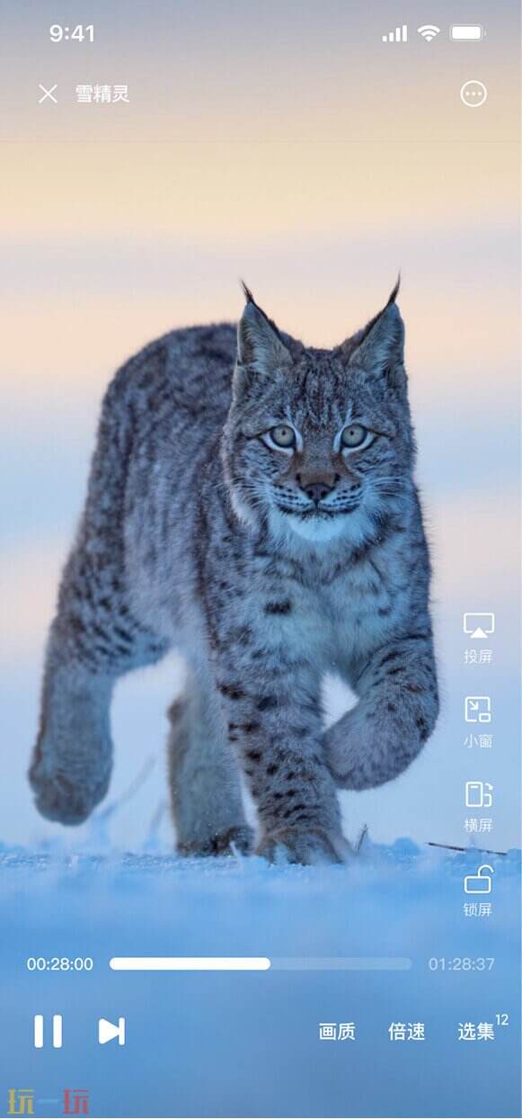 迅雷浏览器应用截图
