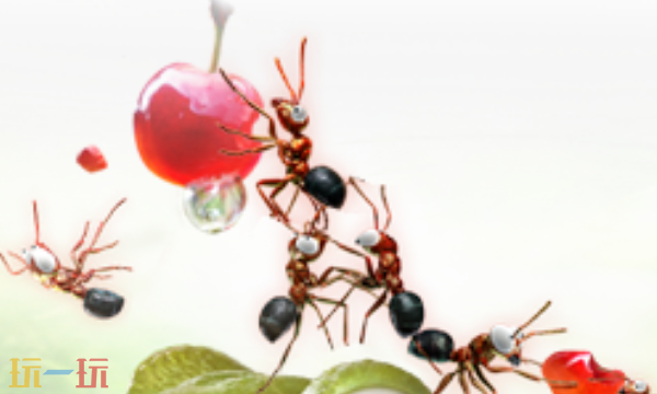 小小蚁国本周兑换码 小小蚁国4月7日最新礼包码2026