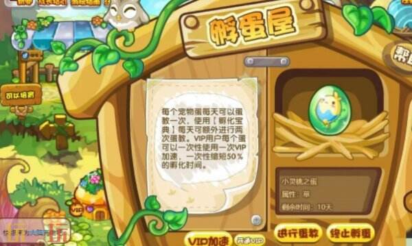 洛克王国世界孵蛋教程 洛克王国世界怎么孵蛋