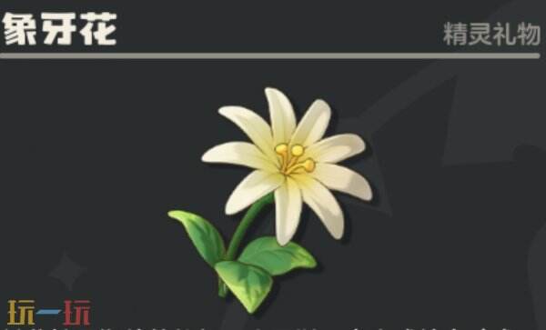 洛克王国世界圣所前哨花朵图鉴 洛克王国世界圣所前哨全花朵采集路线