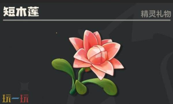 洛克王国世界回填山涧花朵图鉴 洛克王国世界回填山涧全花朵采集路线