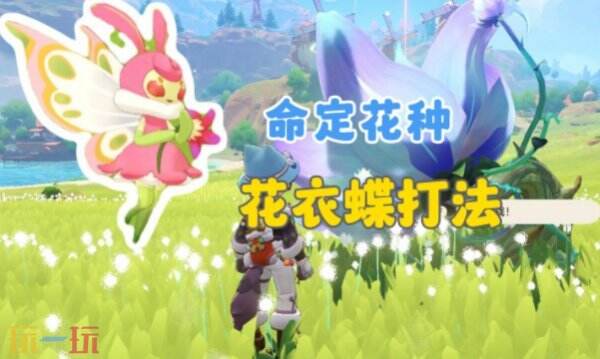 洛克王国世界花衣蝶怎么打 洛克王国世界花衣蝶打法教学